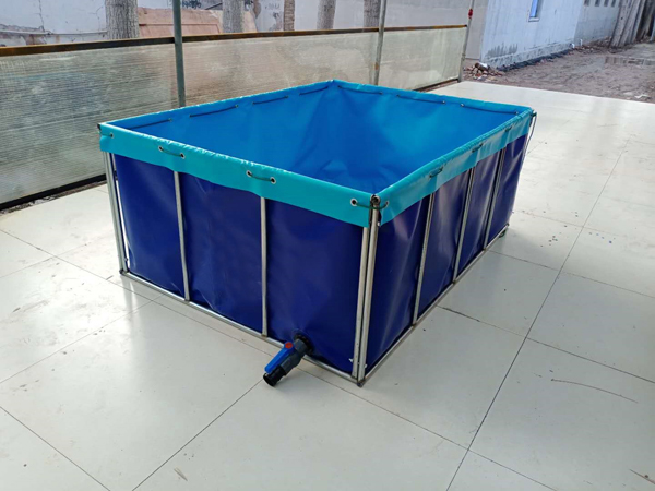 支架水池魚(yú)池